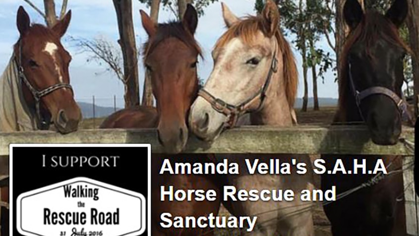 Save A Horse Australia Facebook page