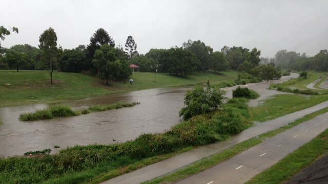 Flooding at Kedron Brook