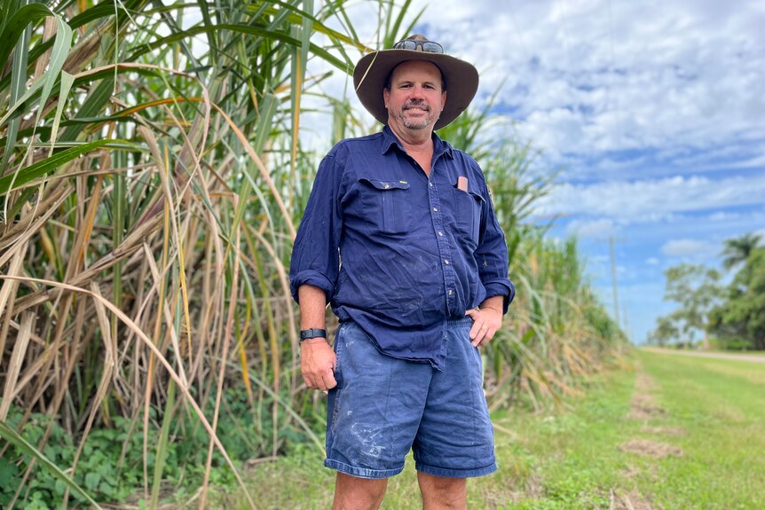 Man with wide brim hat and navy workshirt stands smiling with one hand on his hip with sugarcane in the background. 