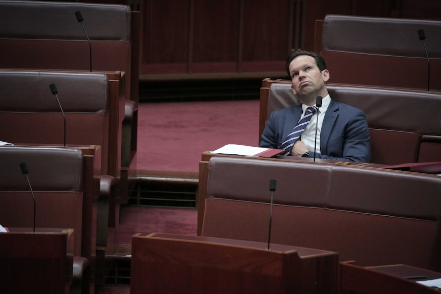 Matt Canavan sits alone, looking glumly towards the ceiling