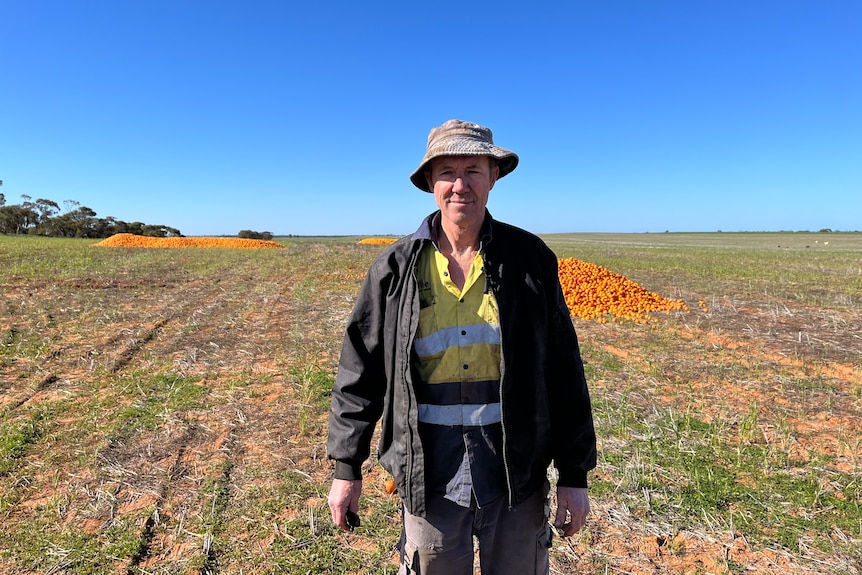 Jim Pickering stands in a paddock behind him are two large piles of citrus