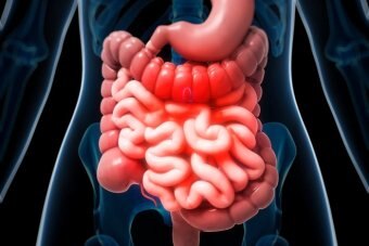 Gut feeling: how your microbiota affects your mental and physical ...