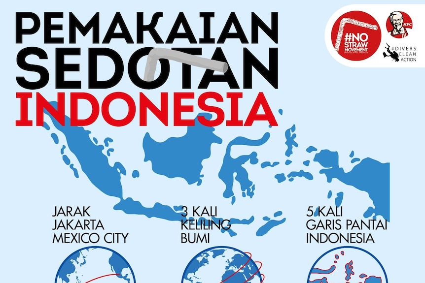 data pemakaian sedotan di Indonesia