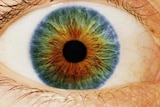 Colourful eye
