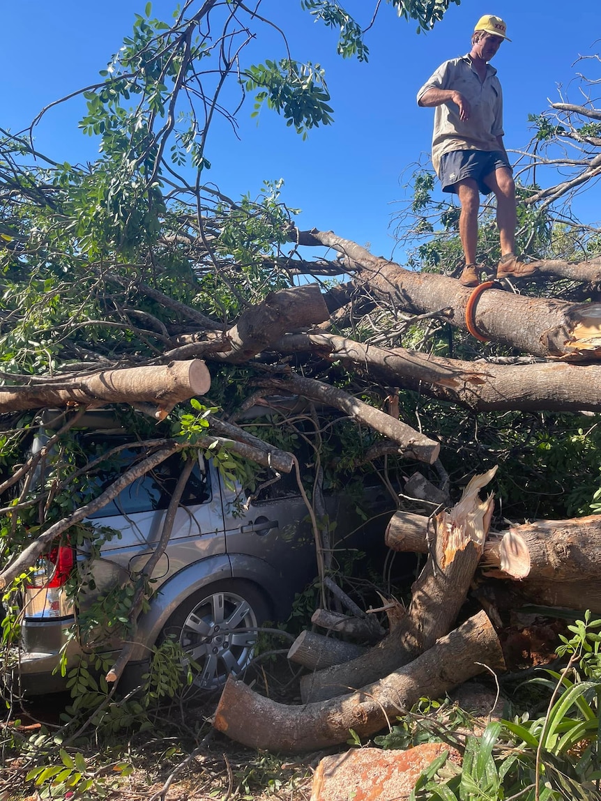 A man stands on top of a fallen tree that has landed on a for-wheel drive.