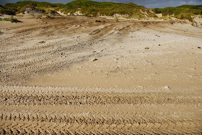 Quad bikes tracks on the coastline of Arthur-Pieman Conservation Area.