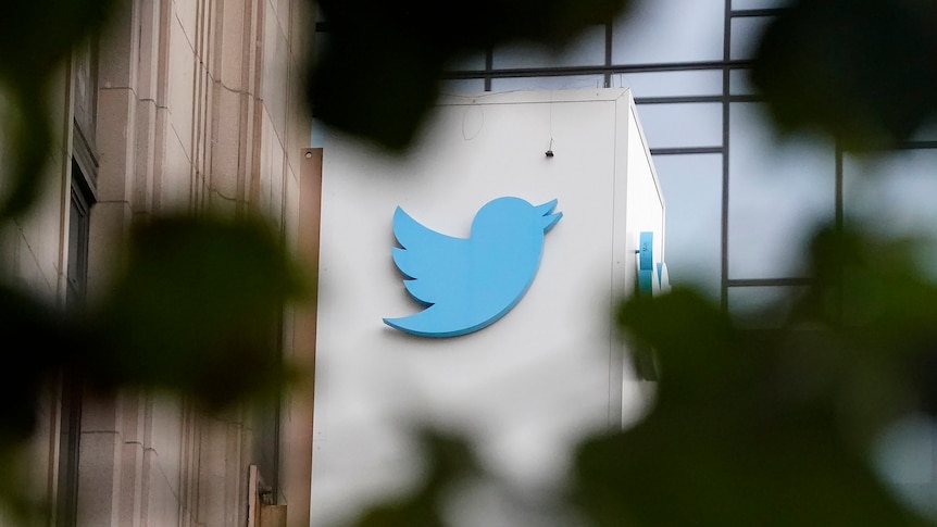 The Twitter logo is seen on the side of a building, with some blurred greenery in the foreground 