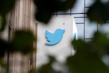 The Twitter logo is seen on the side of a building, with some blurred greenery in the foreground 