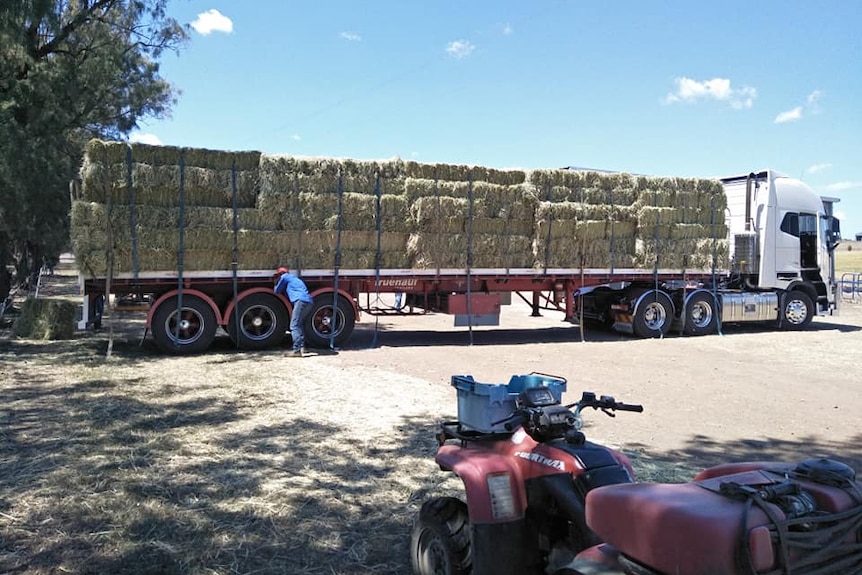 A semi-trailer loaded with hay.