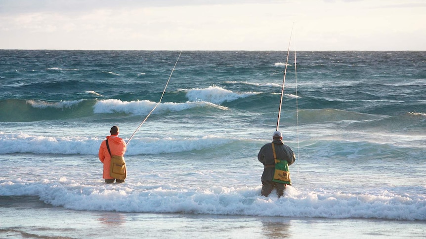 Two people stand in the surf fishing