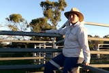 A teenage girl sits on a farm fence.