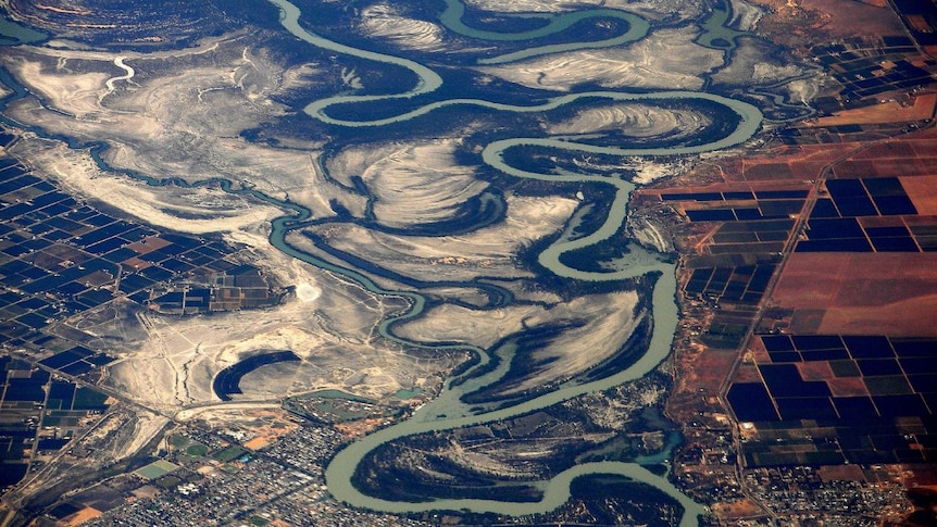 An aerial view of a river with many bends.