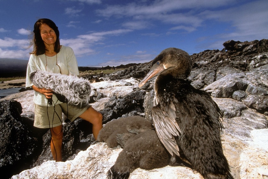 Elizabeth Parer-Cook with a microphone and flightless cormorant in the Galapagos Islands