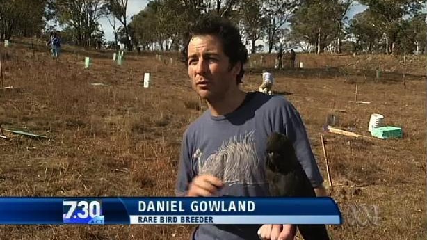 Daniel Gowland stands outdoors, text overlay reads "Daniel Gowland, Rare bird breeder"