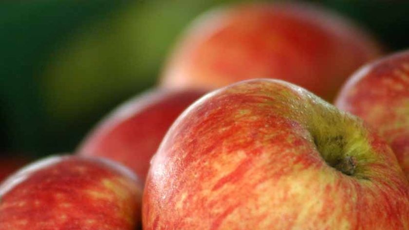 Apples for sale at a market stall. (ABC News: Giulio Saggin)