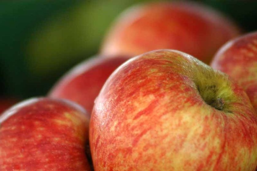 Apples for sale at a market stall. (ABC News: Giulio Saggin)