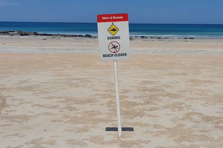 A sign saying 'beach closed' and 'sharks' in Broome.