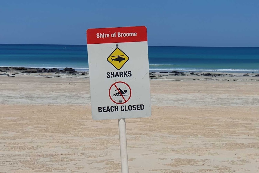 A sign saying 'beach closed' and 'sharks' in Broome.