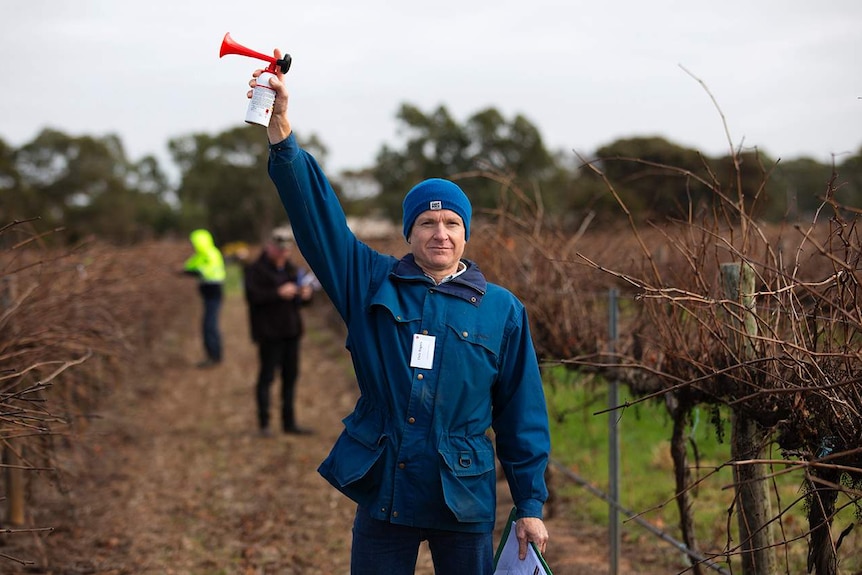 A judge holding an airhorn starts the pruning heats at the SA Pruning Championships in the Barossa.