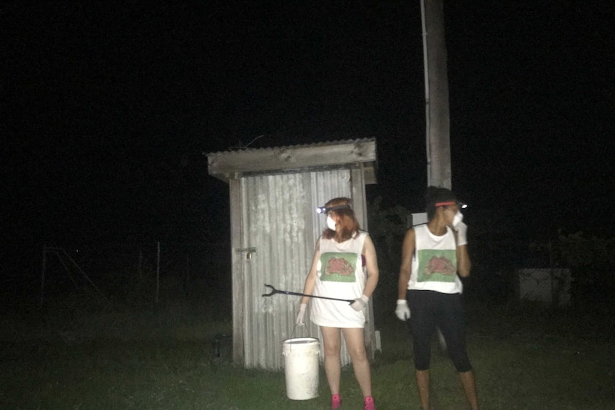 A photo of two girls catching cane toads in the Torres Strait Islands.