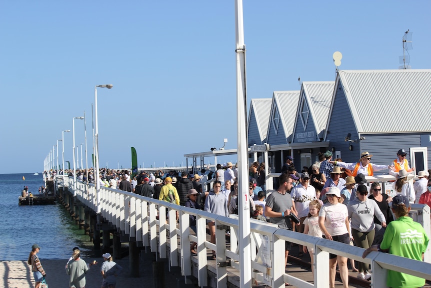 A crowd of people on a long timber jetty.