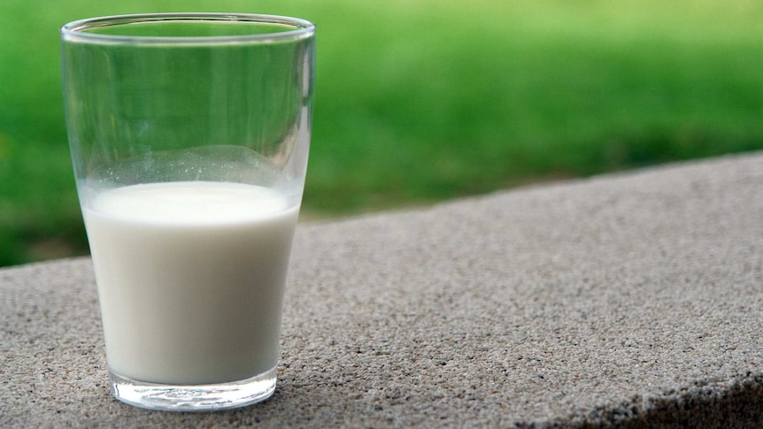 Half full glass of milk.