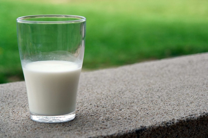 Half full glass of milk.