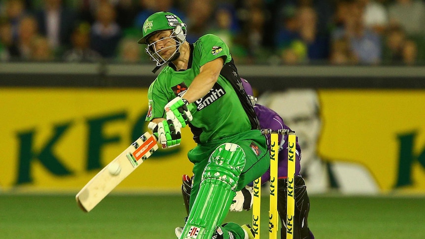 Melbourne Stars batsman Luke Wright hammers the Hurricanes