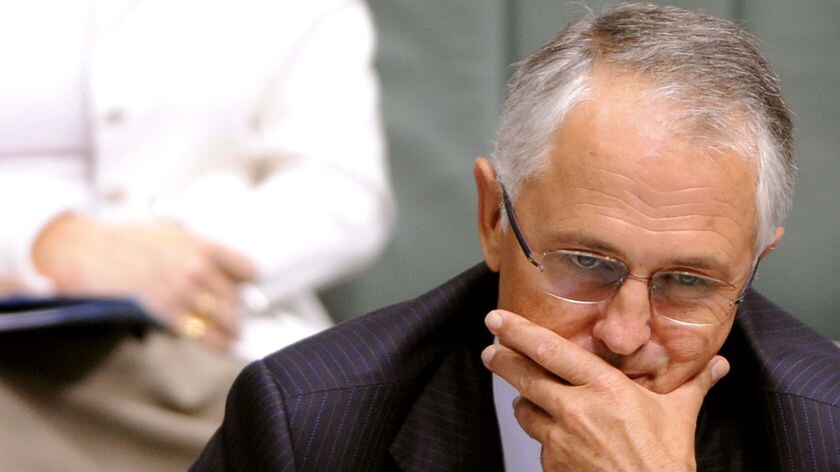 Kevin Rudd says Malcolm Turnbull is 'seeking to save his own political hide'.