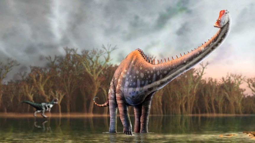 Illustration of a diplodocus dinosaur
