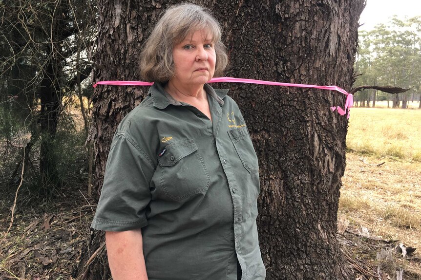 Woman with disappointed facial expression stands beside tree with pink ribbon around it