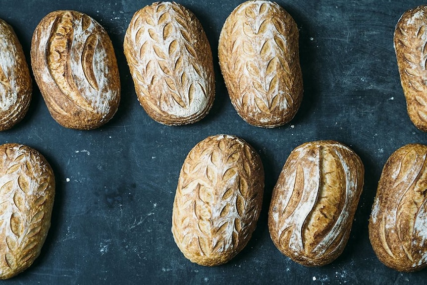 A selection of sourdough loaves displayed on a black background, covered in flour.