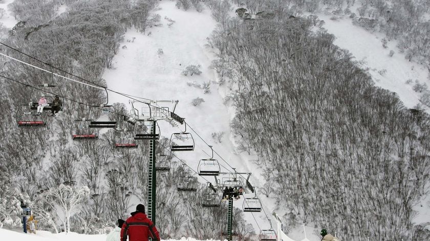 Victorian ski fields have seen record falls this season (file photo)