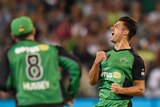 Melbourne Stars player Marcus Stoinis celebrates a wicket against Sydney Thunder in January 2016.