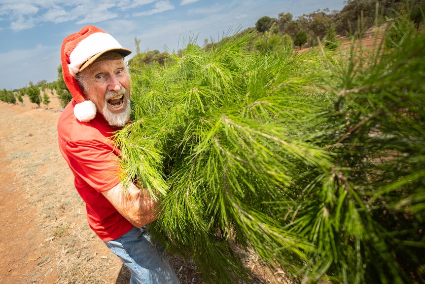 An older white man, Ed, makes a funny face while he strikes a pose in a red christmas shirt with a christmas tree.
