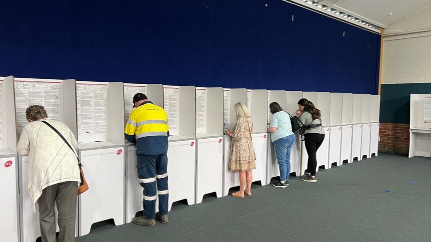 People standing in individual booths at a polling centre.