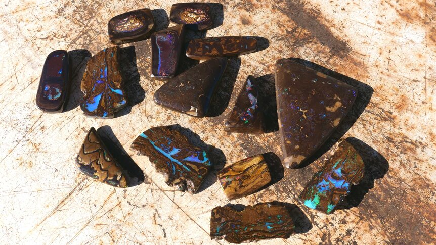 A range of boulder opals are spread out on a rusty background.