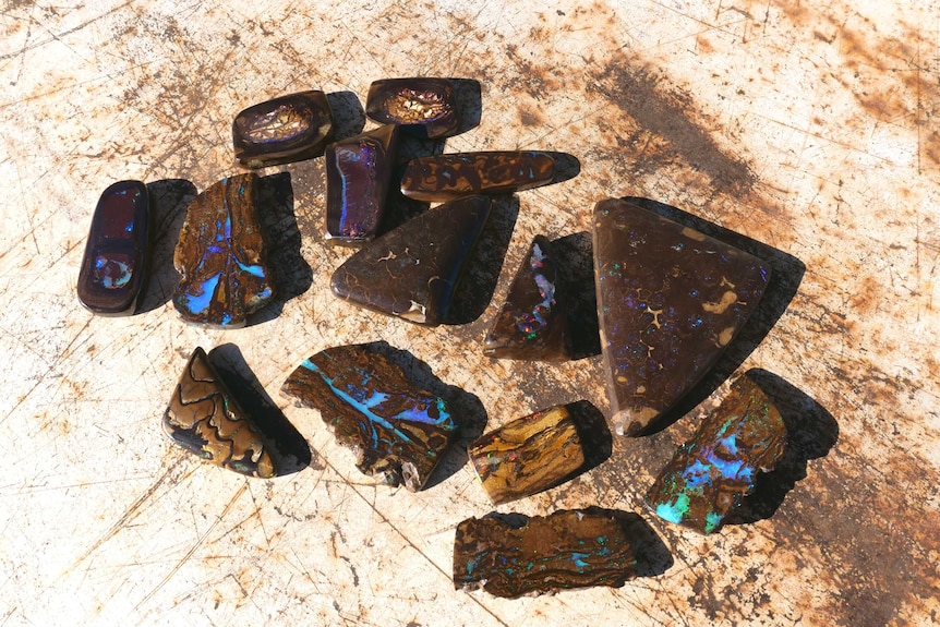 A range of boulder opals are spread out on a rusty background.