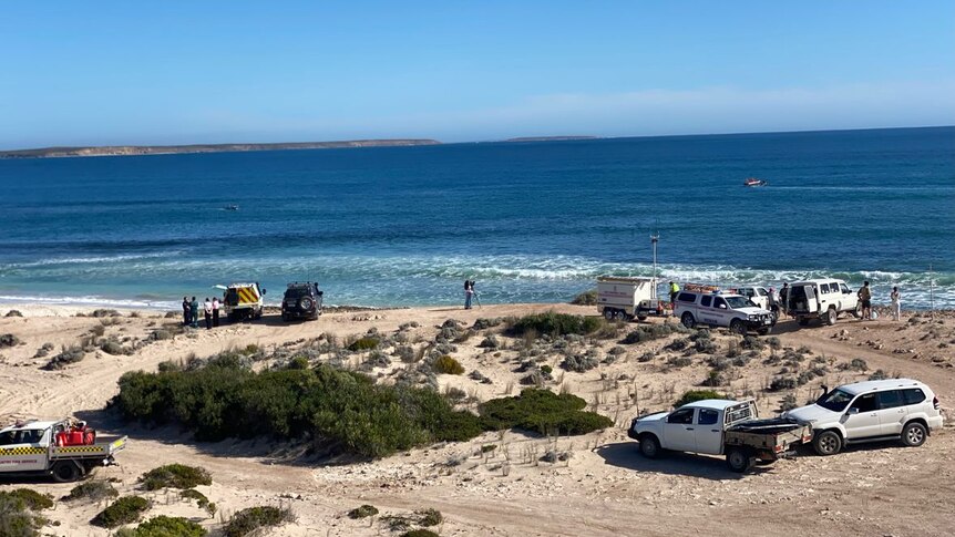 Surfer feared dead after shark attack near Elliston on SA's Eyre Peninsula  - ABC News