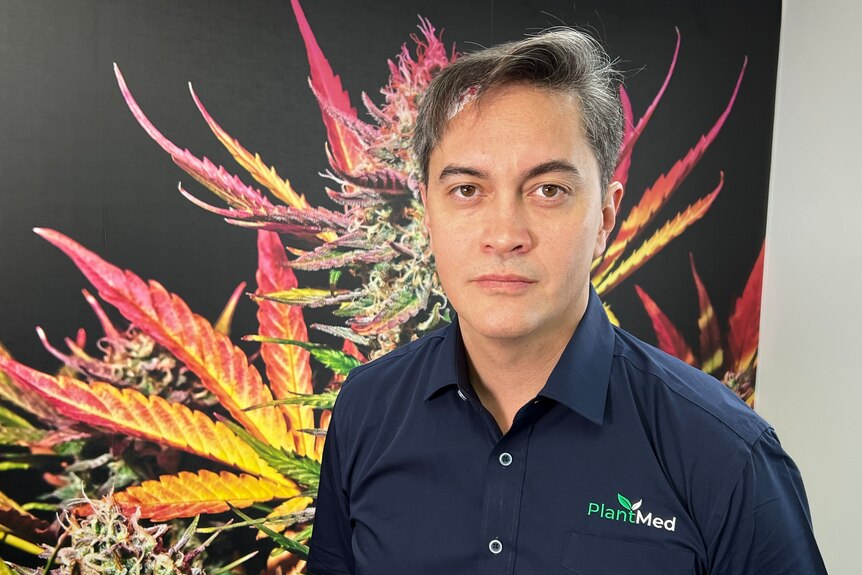 a doctor in a PlantMed branded shirt standing in front of wall art displaying a cannabis plant flower