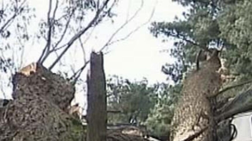 A fallen tree lies on a crushed passenger train carriage on a railway line west of Penrith.