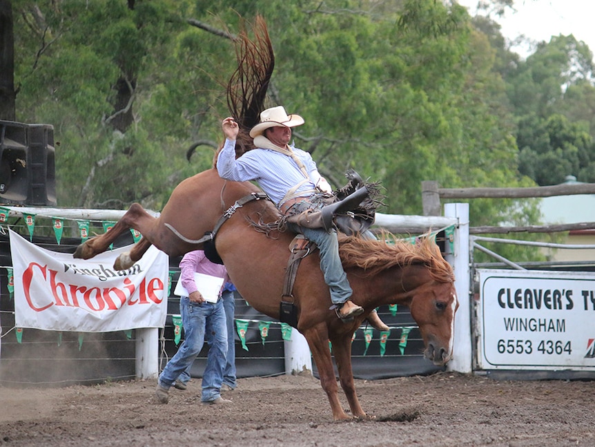 Cowboy wearing a white hat hangs onto bucking horse at rodeo.