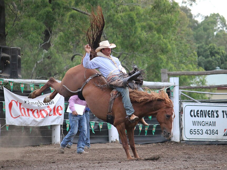 Cowboy wearing a white hat hangs onto bucking horse at rodeo.