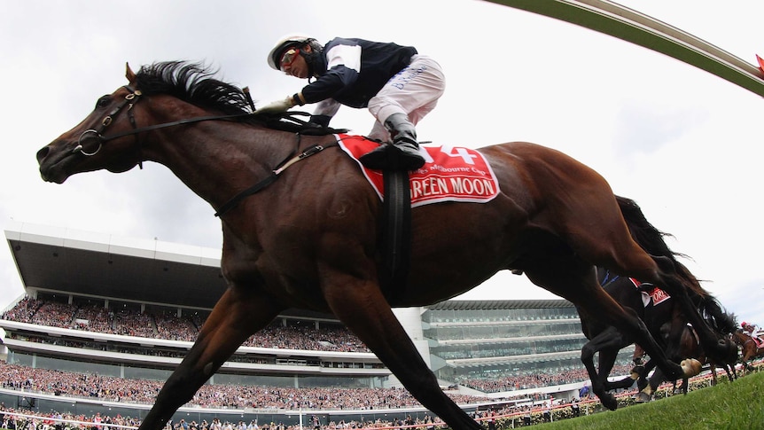 Green Moon, with rider Brett Pebble, wins the Melbourne Cup at Flemington Racecourse in Melbourne, November 6, 2012.