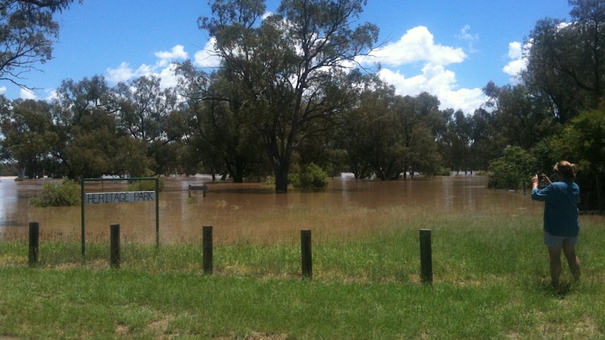 A local resident looks at the flooded Balonne River in St George