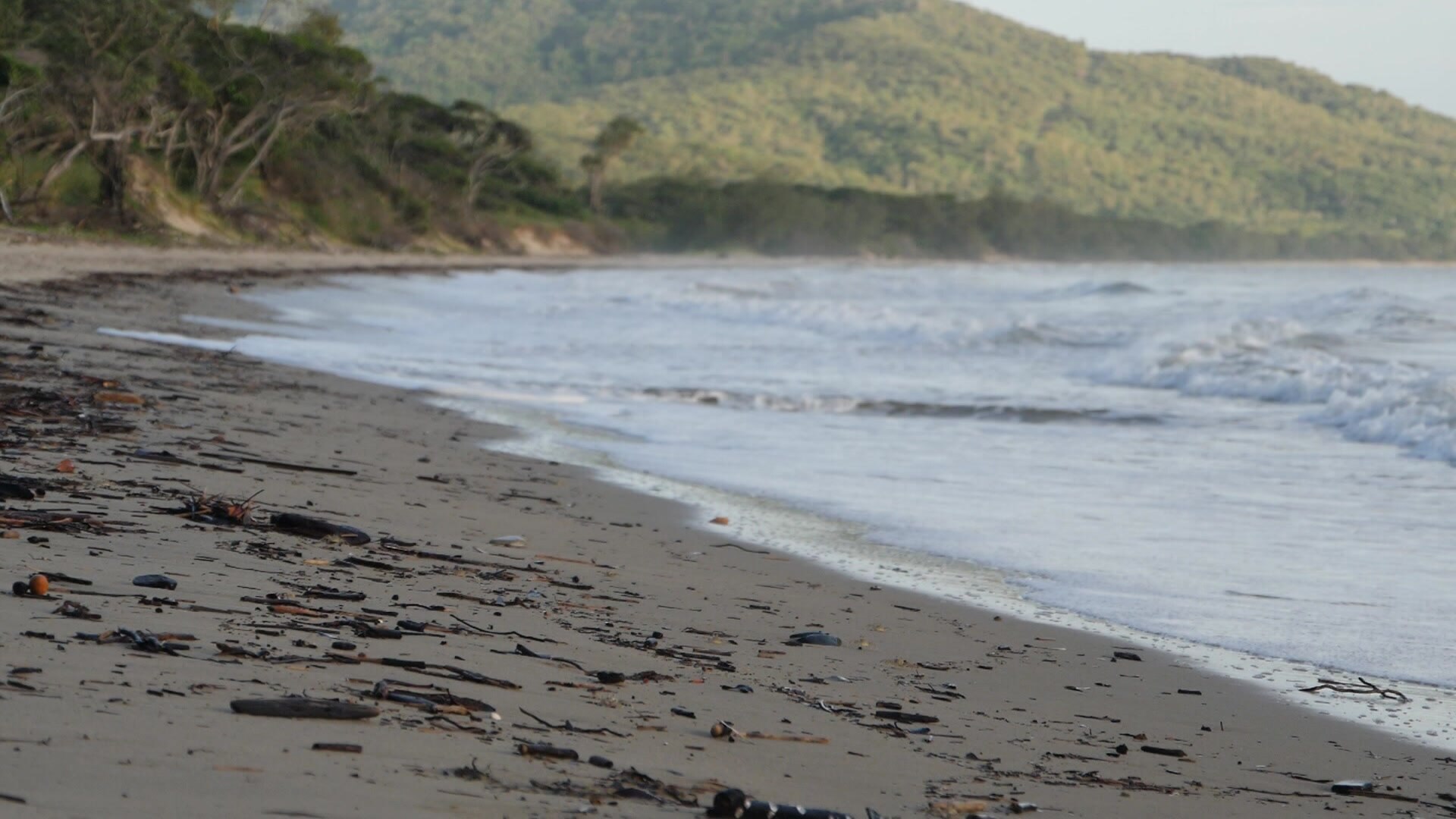 Pequenas ondas rolam sobre uma praia calma.