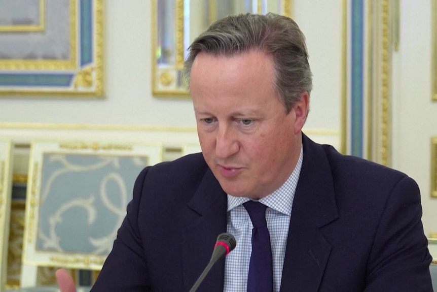 British Foreign Minister David Cameron speaks at a microphone at a press conference.