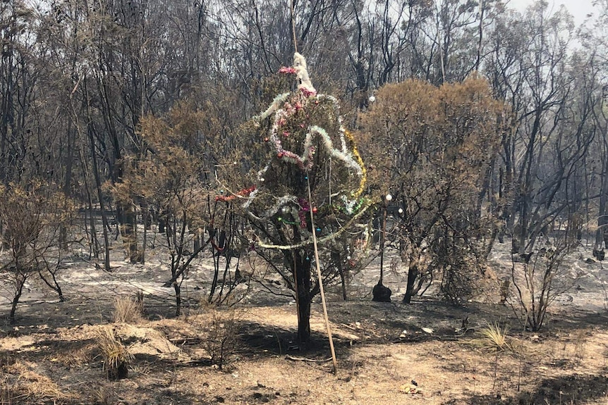 a roadside pine tree decorated with tinsel surrounded by burnt bush