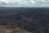 Drone shot of burnt, black forest