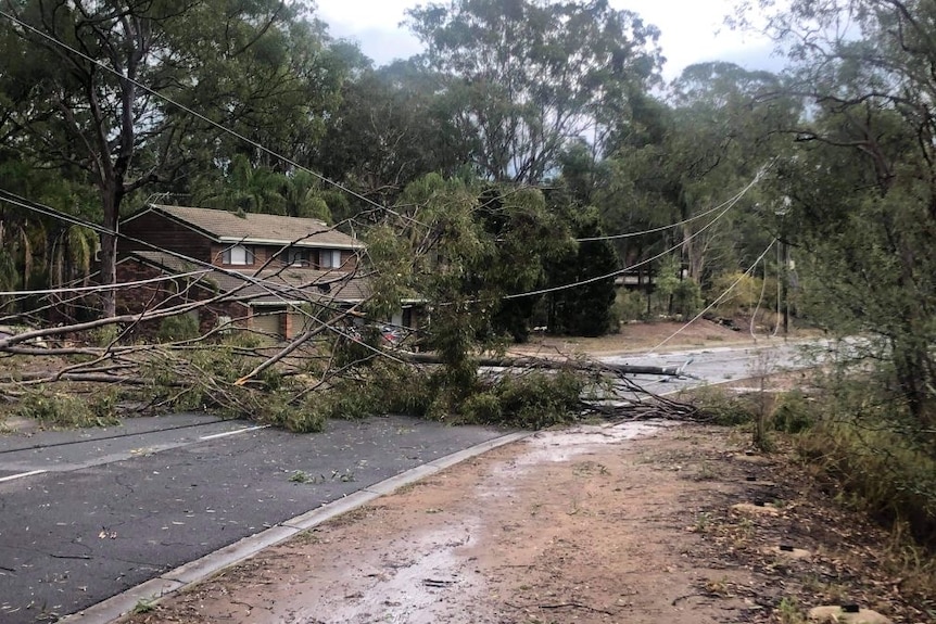 Fallen power lines.